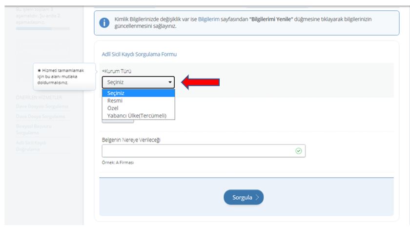 Adli Sicil Kaydı Secenekleri